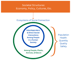 Examples of Social and Community Networks